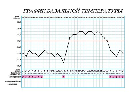 Измерение базальной температуры утром в планировании беременности