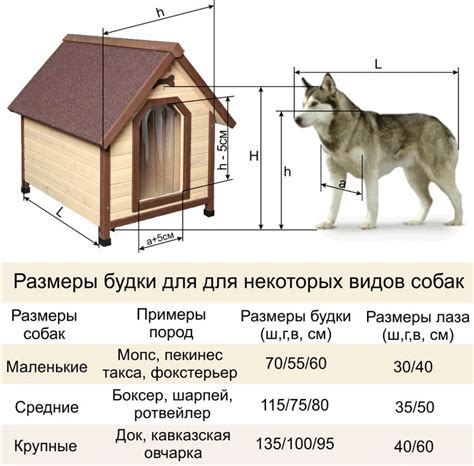 Измерение размеров будки