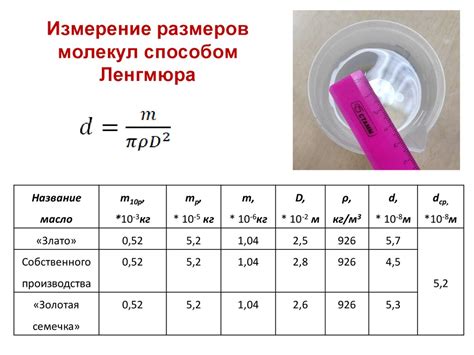 Измерение размеров вашего йорка