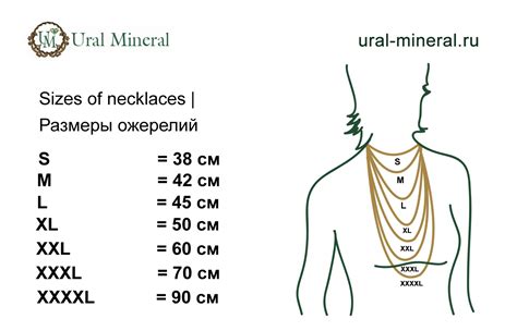 Измерение размеров шеи собаки