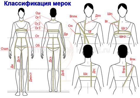 Измерение тела для выкройки