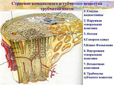 Измерения и обрывки ткани