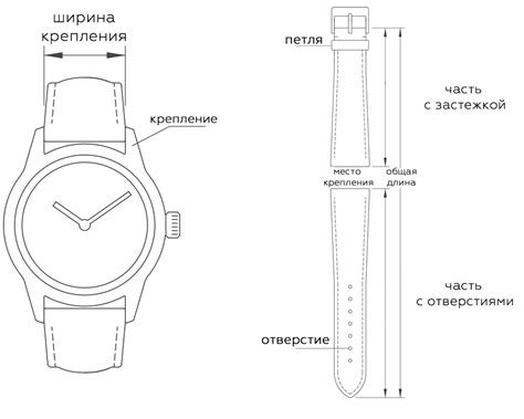 Измерьте ширину ремешка