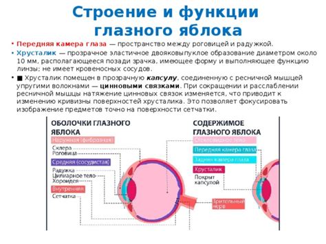 Изображение зрачка и радужки: создание объема и воздушности