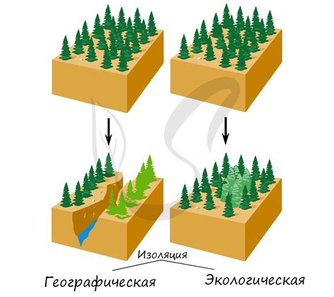 Изоляция в группе