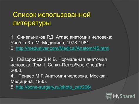 Изучение анатомии и техники прощупывания