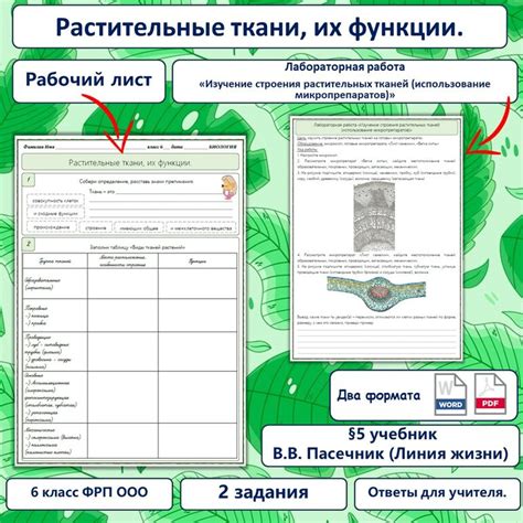 Изучение аптечек и их использование