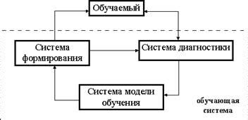 Изучение дуба как часть обучающей программы