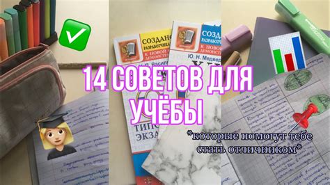 Изучение новых предметов: советы по организации учёбы