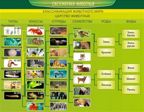 Изучение основных видов животных