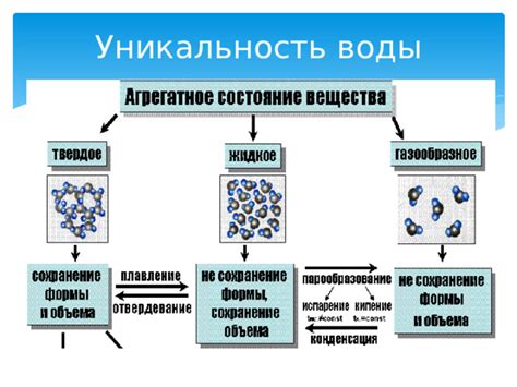 Изучение основных физических свойств воды