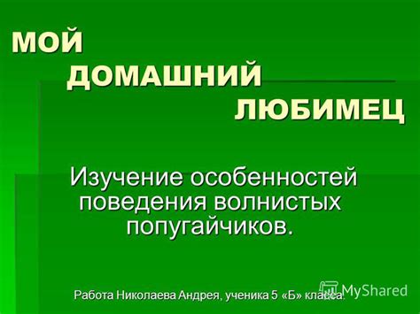 Изучение особенностей поведения осин