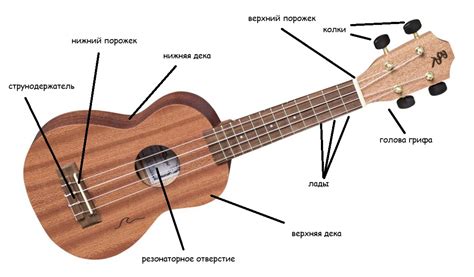 Изучение песен на укулеле: с чего начать