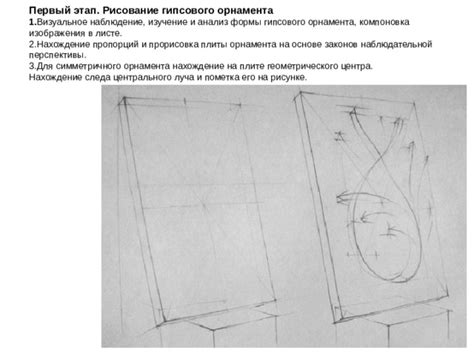 Изучение пропорций и рисование основных форм