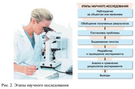 Изучение процесса превращения: научные исследования