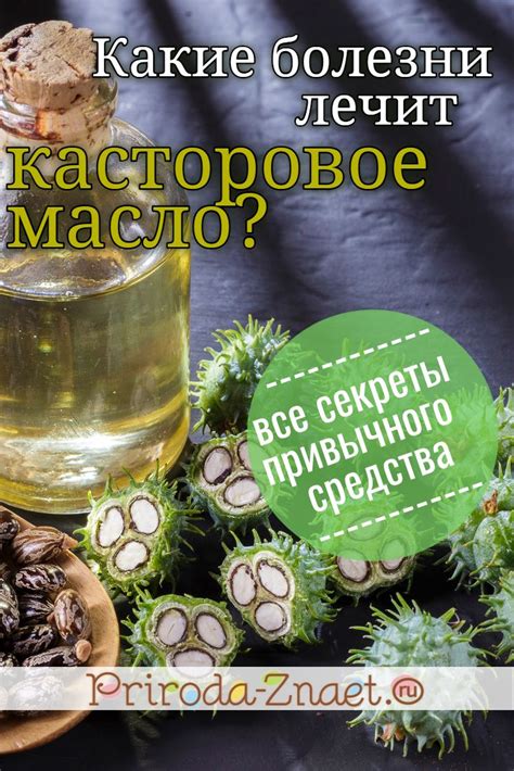 Изучение состава касторового масла