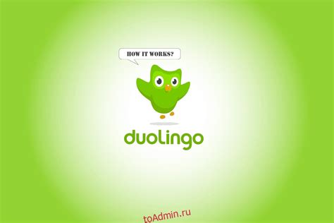 Изучение языков на Duolingo – тайны и советы