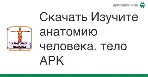 Изучите анатомию черноголовых для точного изображения