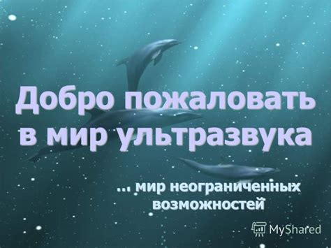 Изучите мастерскую и добро пожаловать в мир неограниченных возможностей