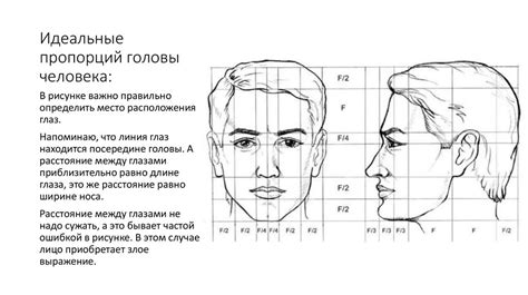 Изучите основные пропорции и форму головы слона