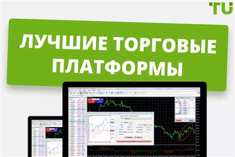 Изучите основные торговые платформы