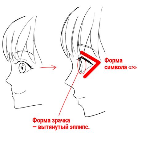 Изучите пропорции Вужаса