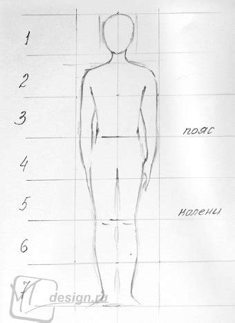 Изучите пропорции тела