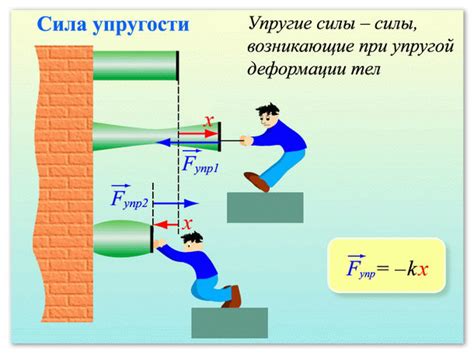 Изучите различные примеры применения силы упругости в жизни