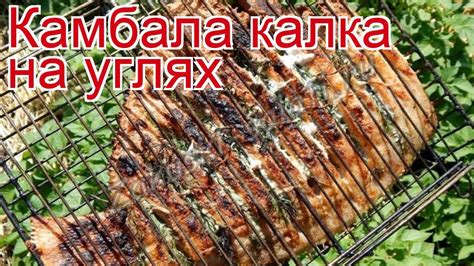 Изысканные рецепты приготовления камбалы калкан