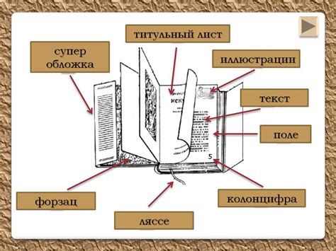 Из чего состоит