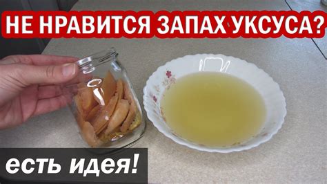 Из-за чего появляется запах уксуса в доме?