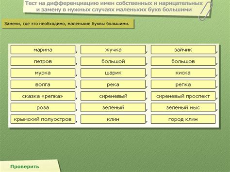 Имена существительные 3 класса