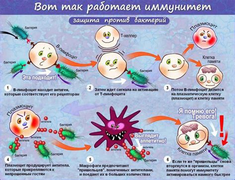 Иммунная система подростков и похмелье