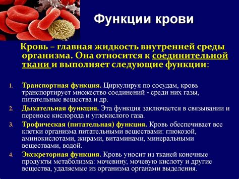 Иммунологическая функция крови