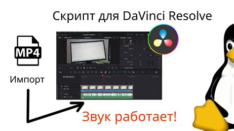 Импорт конвертированного файла в DaVinci Resolve