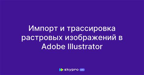 Импорт растровых изображений в Adobe Illustrator