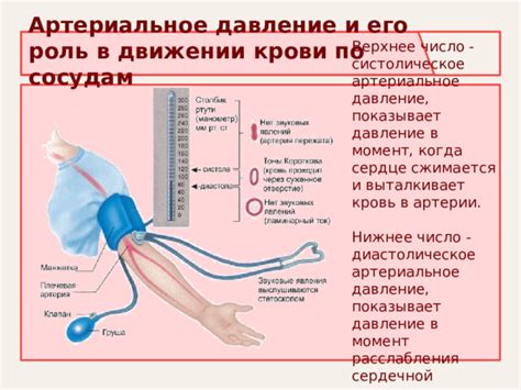 Импульсное давление и его роль в проблеме