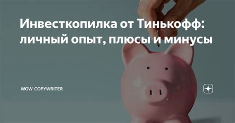 Инвесткопилка в Тинькофф: плюсы и особенности