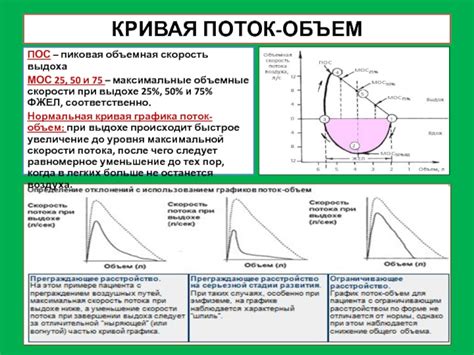 Индекс потока пикфлоуметрии в оценке фжел