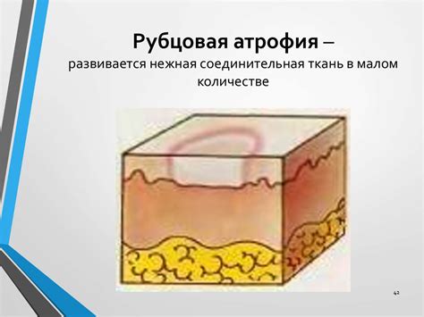 Индивидуальная реакция кожи и слизистой оболочки