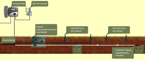 Индикаторы для оценки необходимости полива