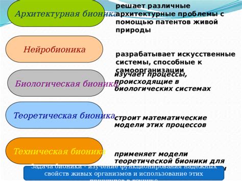 Инженерные проблемы, решаемые с помощью бионики