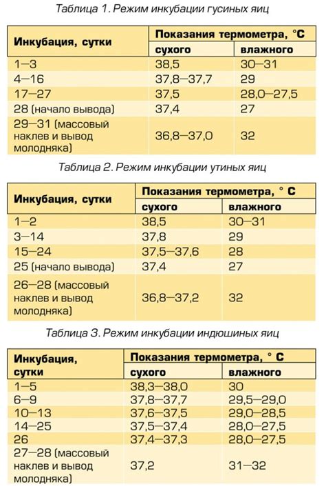 Инкубация кефира