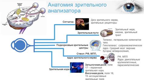 Инновации в области лечения зрительных нарушений