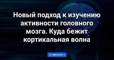 Инновационный подход к усилению бот-активности