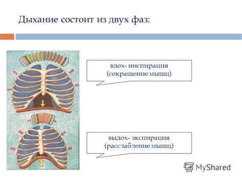 Инспирация