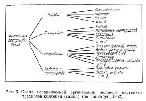 Инстинктивное действие