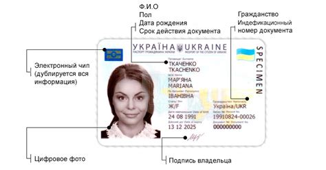 Инструкции для получения id