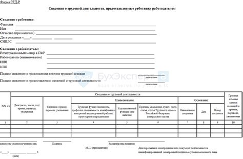 Инструкция по заполнению отчета СТД Р в 1С 8.3