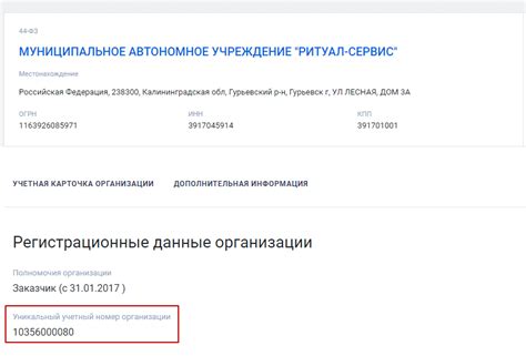 Инструкция по поиску номера счета света